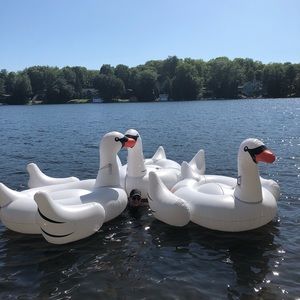 Meet your Posher, Cailey